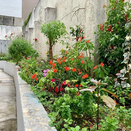 505 - Apartamento Lindo, Amplo E Decorado, Mobiliario Moderno, Cozinha Completa Com Utensilios , Excelente Vista Da Cidade E Localizacao Privelegiada No Bairro Bigorrilho Proximo De Shopping E Parques 库里提巴 外观 照片